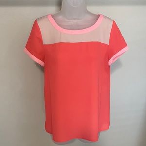 Hive & Honey Top